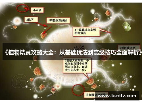 《植物精灵攻略大全：从基础玩法到高级技巧全面解析》